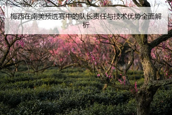 梅西在南美预选赛中的队长责任与技术优势全面解析