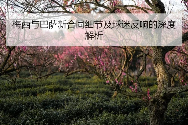 梅西与巴萨新合同细节及球迷反响的深度解析